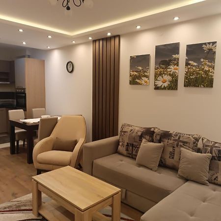 Apartment Dana Banja Koviljaca Bagian luar foto