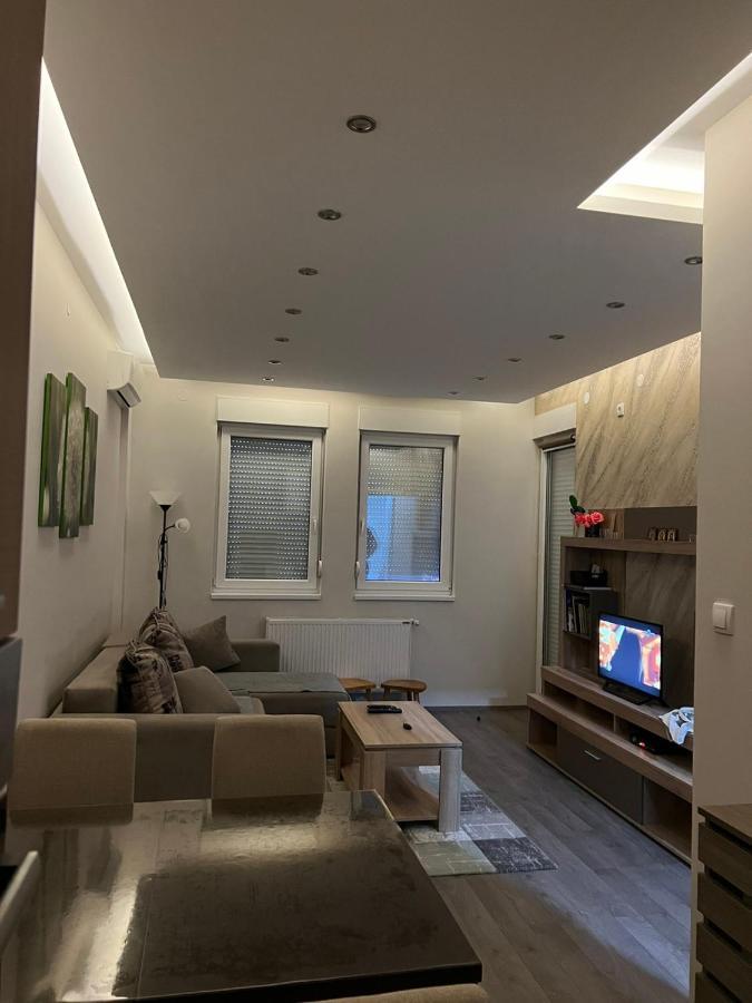 Apartment Dana Banja Koviljaca Bagian luar foto