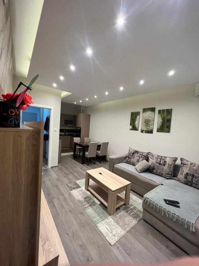 Apartment Dana Banja Koviljaca Bagian luar foto