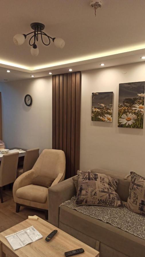 Apartment Dana Banja Koviljaca Bagian luar foto