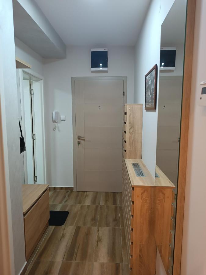Apartment Dana Banja Koviljaca Bagian luar foto
