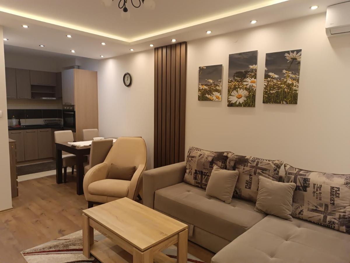 Apartment Dana Banja Koviljaca Bagian luar foto