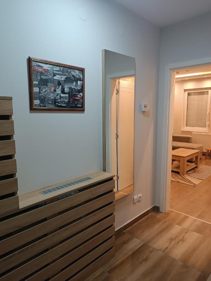 Apartment Dana Banja Koviljaca Bagian luar foto