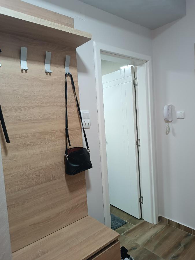 Apartment Dana Banja Koviljaca Bagian luar foto
