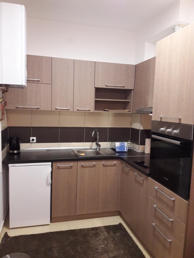 Apartment Dana Banja Koviljaca Bagian luar foto